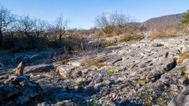 Tous au Fierloz  (à partir de 5 ans) - Maison du Marais de Lavours