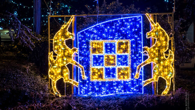 Les mini-visites de Noël