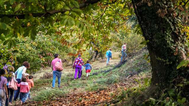 Workshop of the little beaver farmer at the Godissard chestnut grove