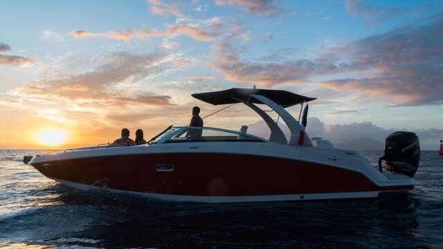 Tahiti Activities Center - Whale watching tour