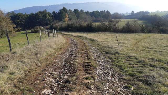 Randonnée - Tour du Mont Verjon
