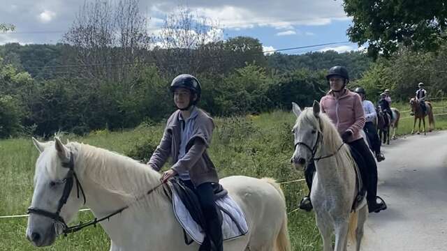 Randonnée équestre à la journée de la nouvelle année
