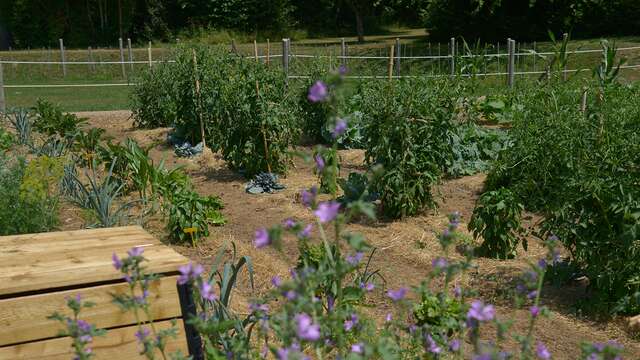 Formation jardinage au naturel à la Plantelière