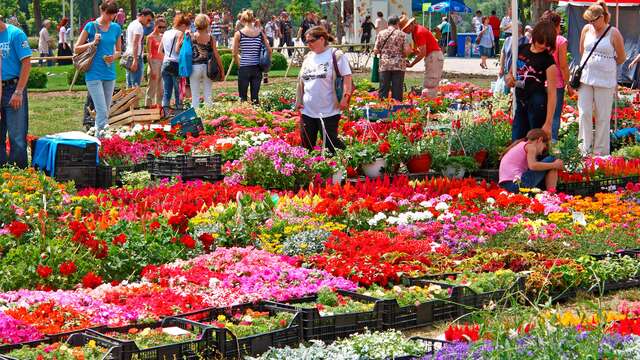 Vide-greniers et marché aux fleurs