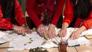 Workshop: Reading directions and right angles with Hector Gachet