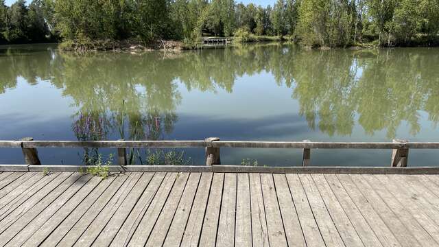 Ponton de pêche lac Jendreaux