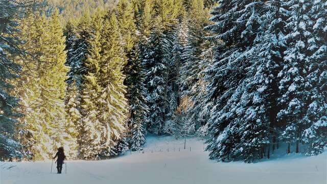 Bivouac hivernal en Chartreuse