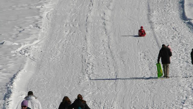 Piste de luge des Alberts