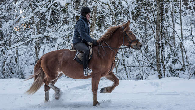 Horseback Riding