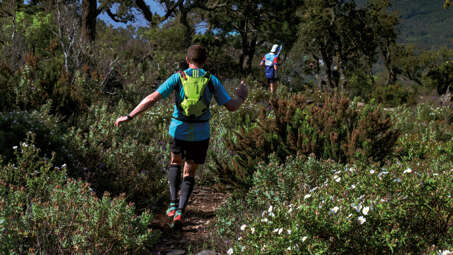 Trail des 3 Dauphins