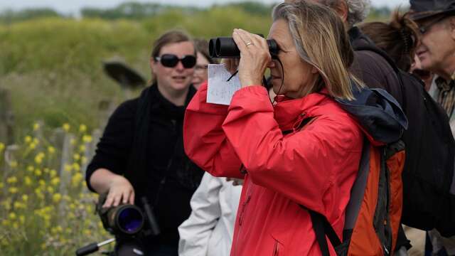 Behind the scenes at the nature reserve: the curator's exit