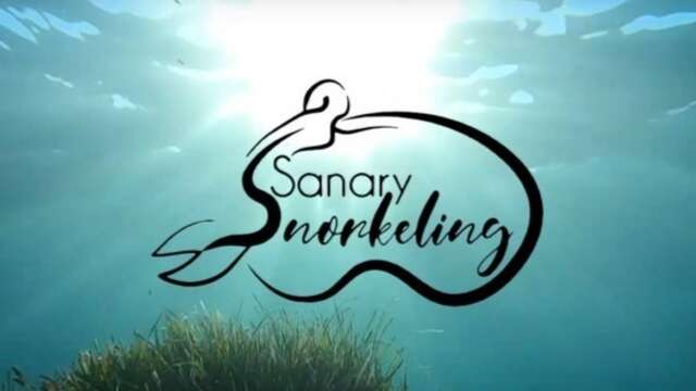 Sanary Snorkeling