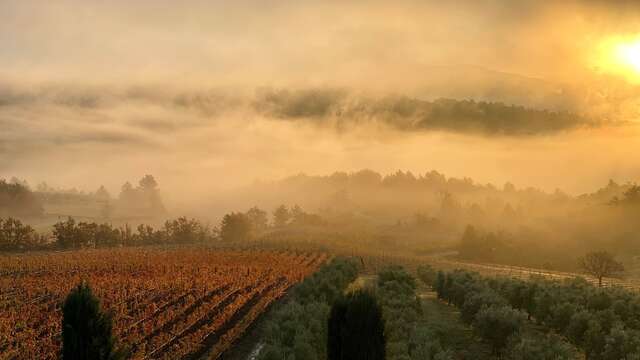 Domaine des Bergeries de Haute-Provence