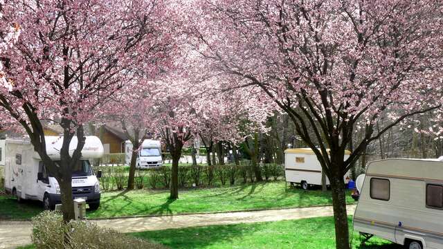Camping municipal l'Astrée