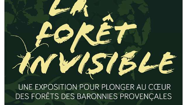 La forêt invisible