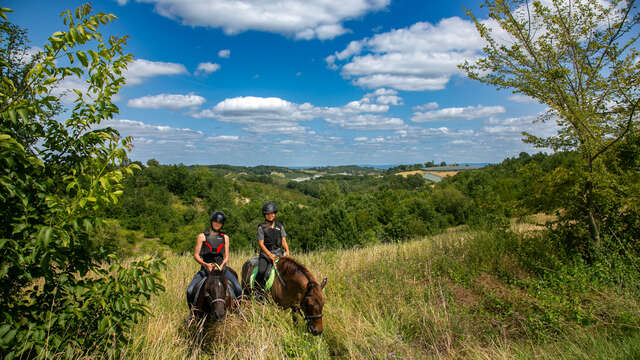 Centre équestre "Les sabots de l'Honor"
