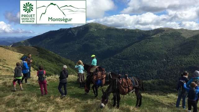 Le patrimoine de Roquefixade avec les ânes