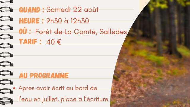Écris l'été | Écriture en forêt