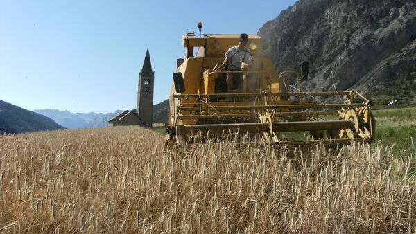 Le Mas de Fond Vieillou