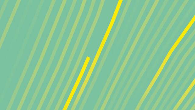 Festival Trajectoires