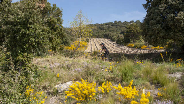 Vers le pays isolé par la route de la Viste en gravel