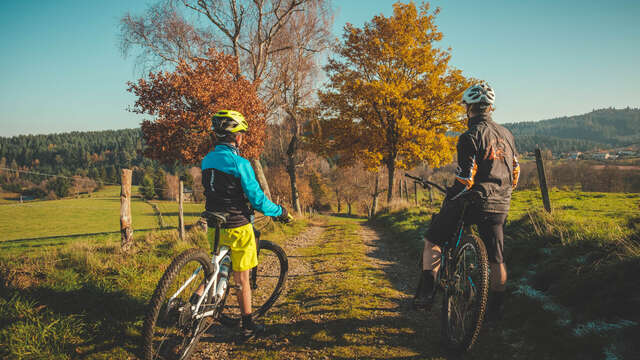 Circuit VTT Du Gamay à la Côte