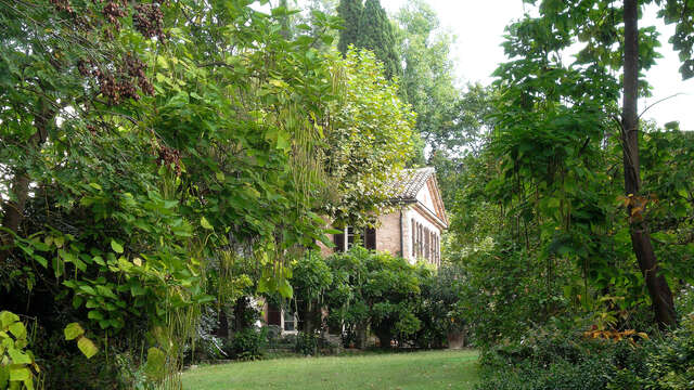 Jardin du Moulin de la Mourachonne