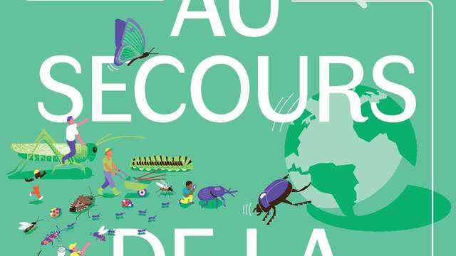 Exposition : Les insectes au secours de la planète