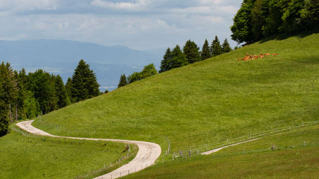 Cycling loop: Plateau des Bornes Nord