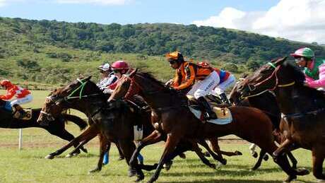 Fédération des sociétés de courses hippiques de Nouvelle-Calédonie