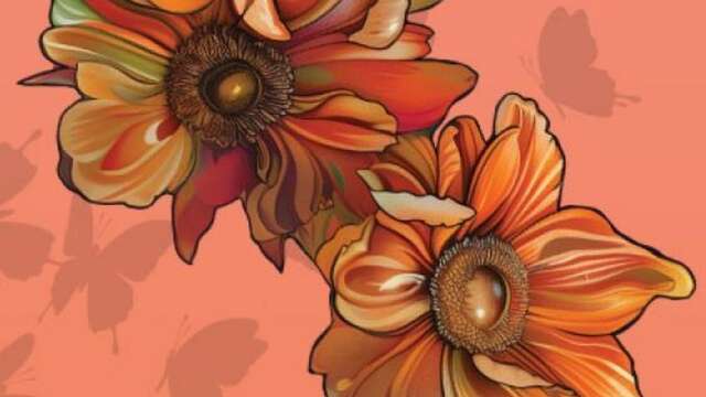 Soirées Estivales de variétés internationales "FELICITA"