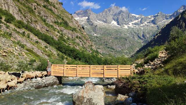 10ème Festival de l'alpage