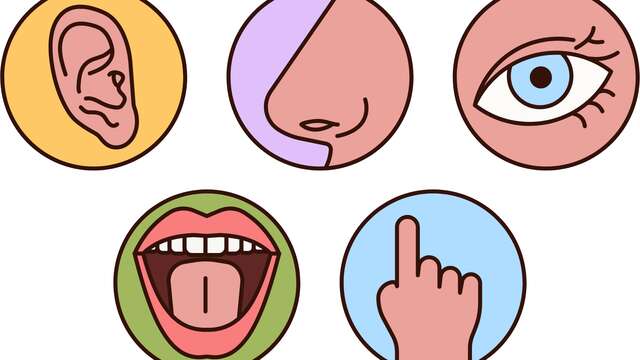 Muséolab “Le pouvoir des sens”