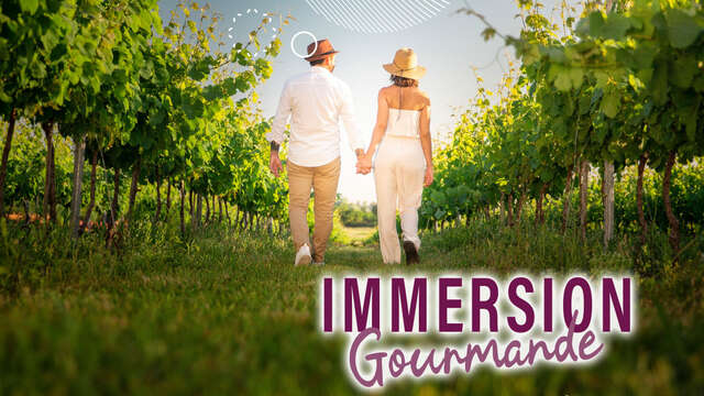 Immersion gourmande : Balade dans les vignes