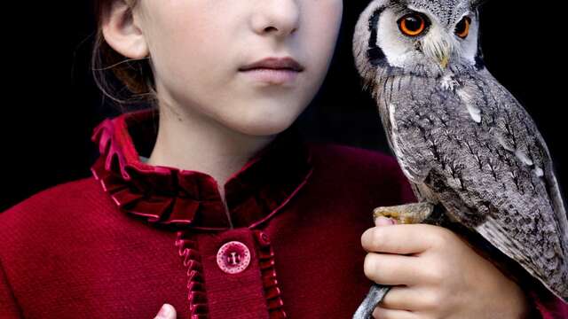 Exposition : Nouvelles acquisitions