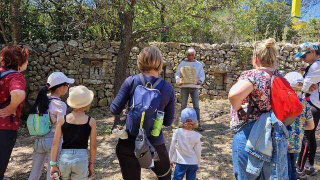 Découverte du sentier des abeilles de la Font de Mai