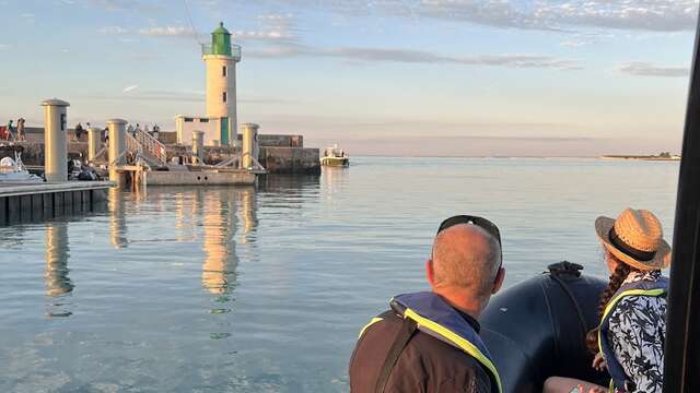 Balade en mer coucher de soleil (1h30) au départ de La Flotte - par Tex