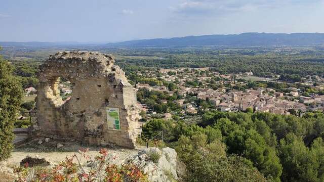 Circuit en pays vaudois et garrigue