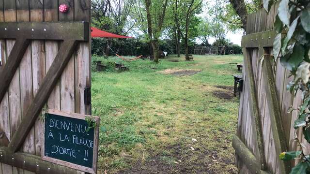 Die Brennnesselspinnerin: Wenn mir die Brennnessel erzählt und gesponnen würde