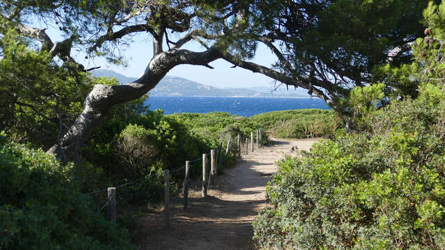 Der Küstenpfad vom Hafen von La Madrague bis zum Strand von La Badine