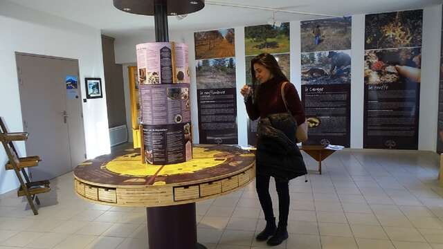 Ventoux Truffle museum