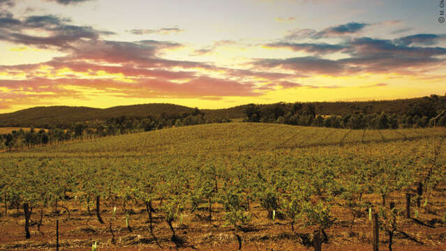 Atelier Découverte " Tour du Monde " - M.CHAPOUTIER