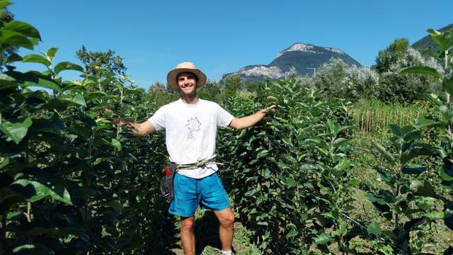 Vente d'arbres à la pépinière des Racines et des Fruits