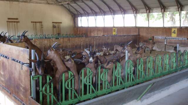 Domaine de la Haute Lèbre