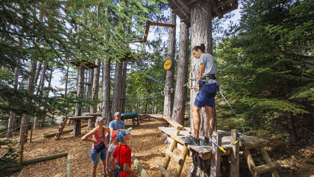 Tree climbing : Beginner’s level