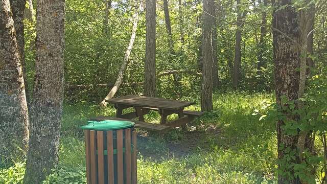 Aire de pique-nique à proximité de Selonnet