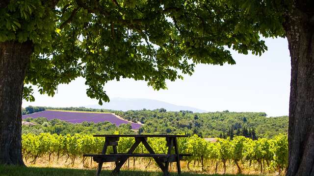 Domaine l'Ancienne École
