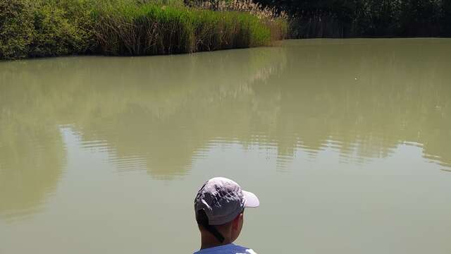 Etang de Colovrex, ENS de l'Ain