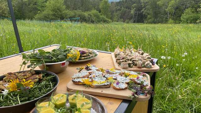Atelier de cuisine de plantes comestibles