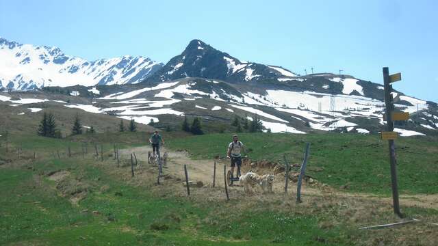 Mushing dans la vallée du Haut Bréda et au Pleynet